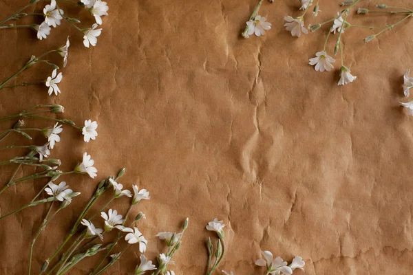 Retro kağıt doku beyaz çiçekli