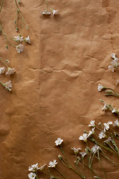 Retro kağıt doku beyaz çiçekli