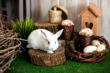 Paskalya tavşanı beyaz. Mumlar ve şenlikli decora ile Paskalya kek