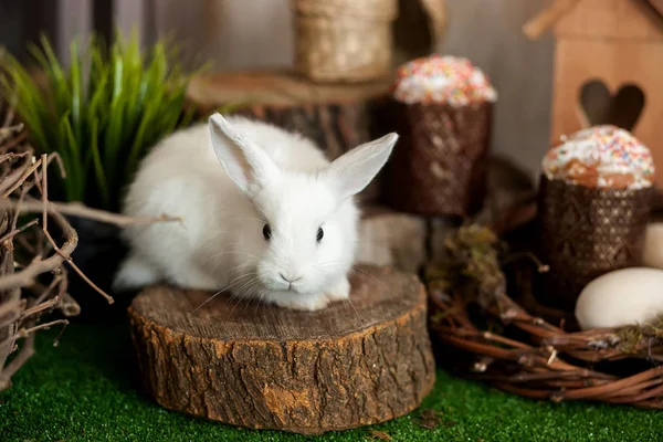 Coelhinho branco da Páscoa. Bolos de Páscoa com velas e decoração festiva — Fotografia de Stock