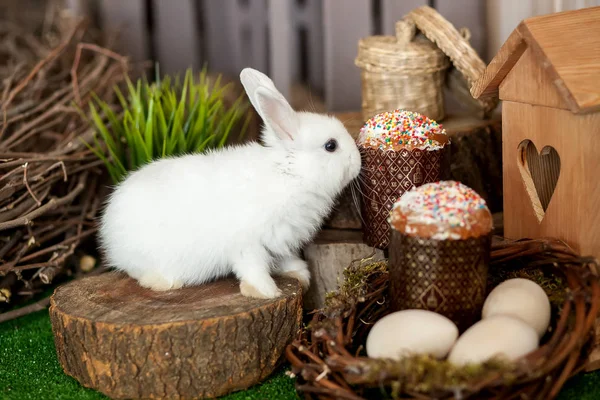 Conejito de Pascua blanco. Pasteles de Pascua con velas y decora festiva —  Fotos de Stock