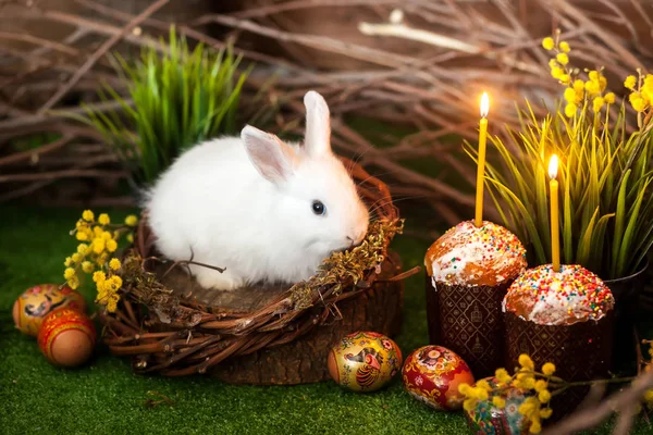 Coelhinho branco da Páscoa. Bolos de Páscoa com velas e decoração festiva — Fotografia de Stock