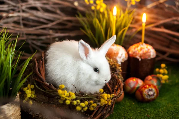 Coelhinho branco da Páscoa. Bolos de Páscoa com velas e decoração festiva — Fotografia de Stock