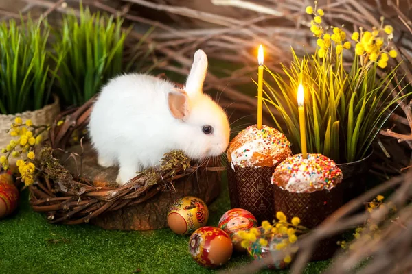 Coelhinho branco da Páscoa. Bolos de Páscoa com velas e decoração festiva — Fotografia de Stock