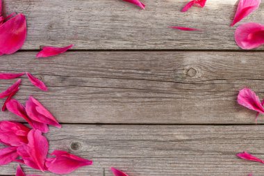 Ahşap arka planda pembe şakayık desenli çiçek deseni