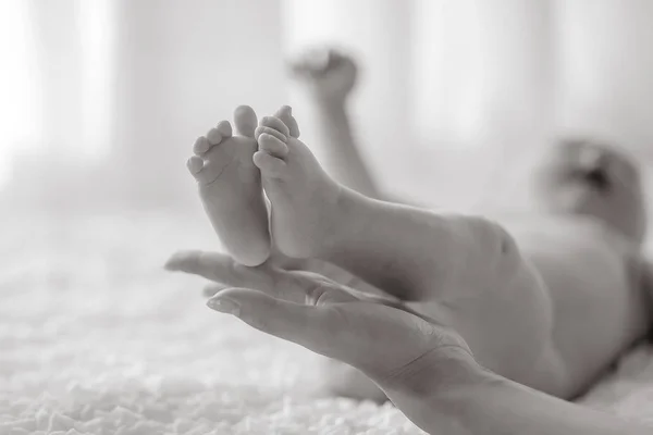 Pernas de bebê nas mãos da mãe — Fotografia de Stock