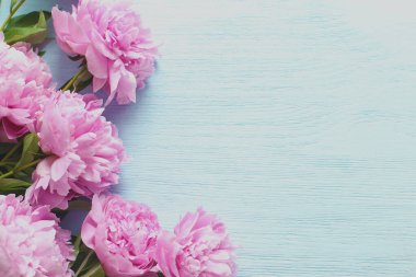 Pembe şakayık çerçevesi. Tasarım için boşluk.