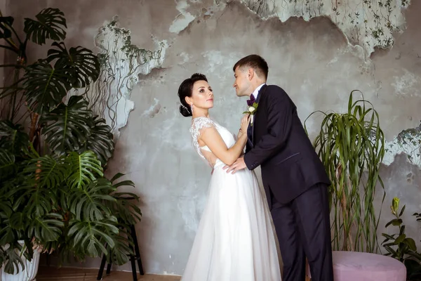 Sposa in un abito elegante e sposo in una tuta su uno sfondo di — Foto Stock
