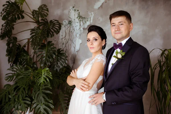 Brud i en elegant klänning och brudgum i en kostym på en bakgrund av — Stockfoto