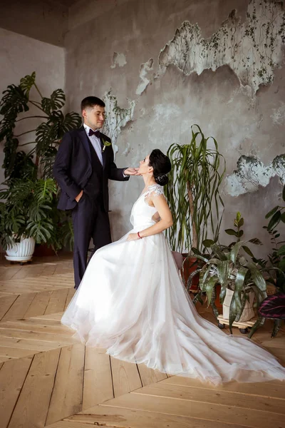 Novia en un vestido elegante y novio en un traje sobre un fondo de — Foto de Stock