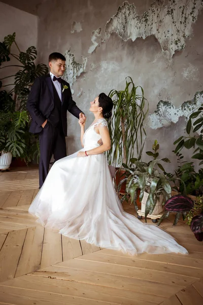 Bride in an elegant dress and groom in a suit on a background of