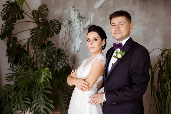 Novia en un vestido elegante y novio en un traje sobre un fondo de Fotos de stock libres de derechos