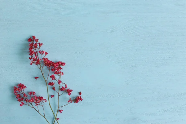 Flores Pequeñas Primavera Rojas Sobre Fondo Tablas Madera Turquesa Fotos de stock