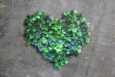 Tropikal bitki kalp desenli beton. Tasarım için desen dekoratif arkaplan.