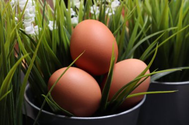 Siyah desenli arka planda çimenlerin arasında paskalya yumurtaları.