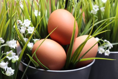 Siyah desenli arka planda çimenlerin arasında paskalya yumurtaları.