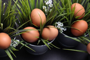 Siyah desenli arka planda çimenlerin arasında paskalya yumurtaları.