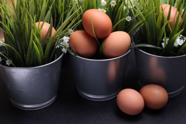 Siyah desenli arka planda çimenlerin arasında paskalya yumurtaları.