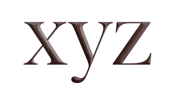 棕色皮革的英文字母表 从白色底色的棕色皮革中选出 Xyz — 图库照片