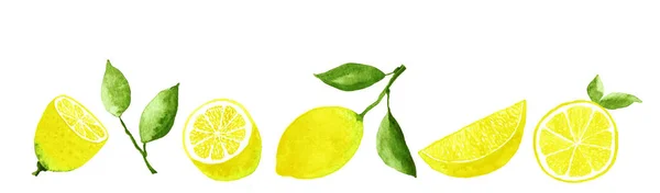 Limão Frutas Aquarela Conjunto Mão Desenho Ilustração — Fotografia de Stock