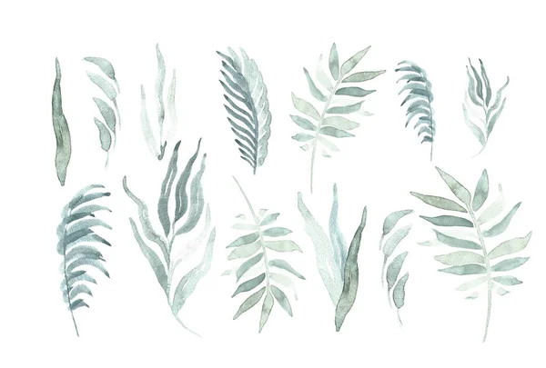 Grüne Tropische Palmenblätter Setzen Aquarell Auf Den Hellen Hintergrund Trendiger — Stockfoto