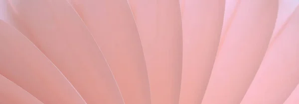 Fundo Abstrato Rosa Com Padrão Bizarro Linhas Suaves Luz Transição — Fotografia de Stock