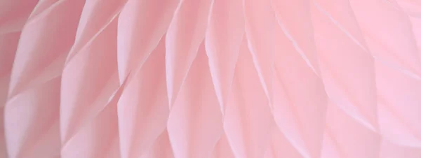 Fundo Abstrato Rosa Com Padrão Bizarro Linhas Suaves Luz Transição — Fotografia de Stock