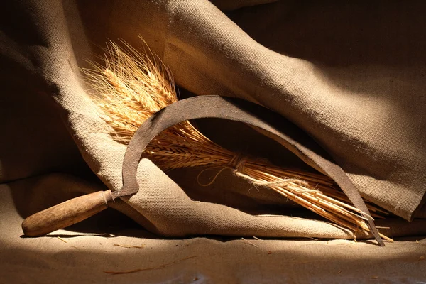 Foice e trigo — Fotografia de Stock