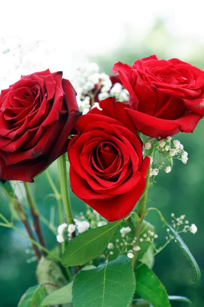 Red Roses Bouquet — Stock Photo, Image