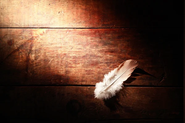 Feather On Wood — Stock Photo, Image