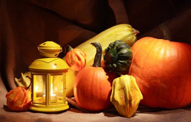 Balkabaklarıyla sakin bir hayat