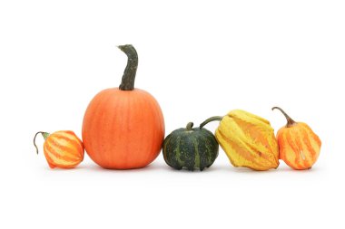 Pumpkins On White