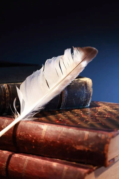 Quill On Books — Stock Photo, Image