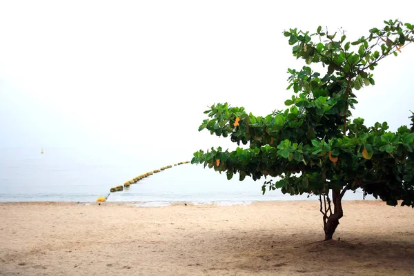 Praia vazia de manhã — Fotografia de Stock