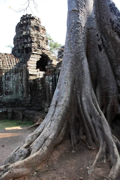 Angkor Wat Tapınağı — Stok fotoğraf