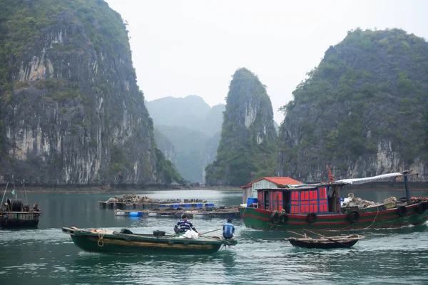 Halong κόλπο στο Βιετνάμ — Φωτογραφία Αρχείου