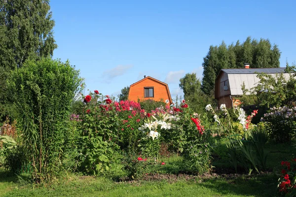 Hus och trädgård — Stockfoto