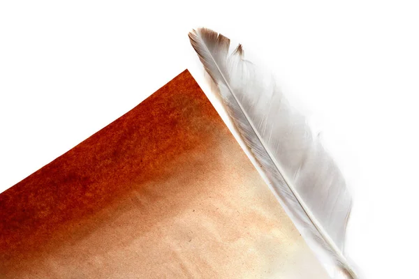 Feather Near Paper — Stock Photo, Image