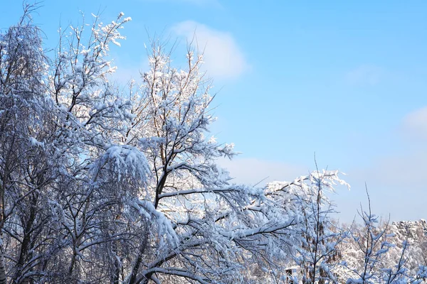 Bello sfondo invernale — Foto Stock