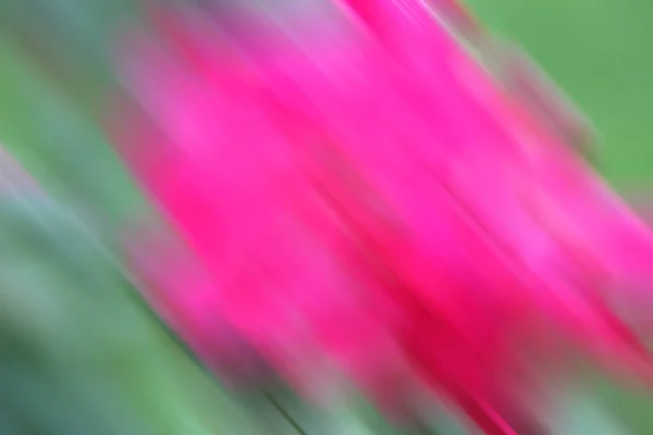 Abstract Color Background — Stock Photo, Image