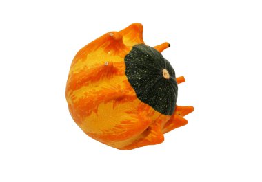 küçük dekoratif kabak
