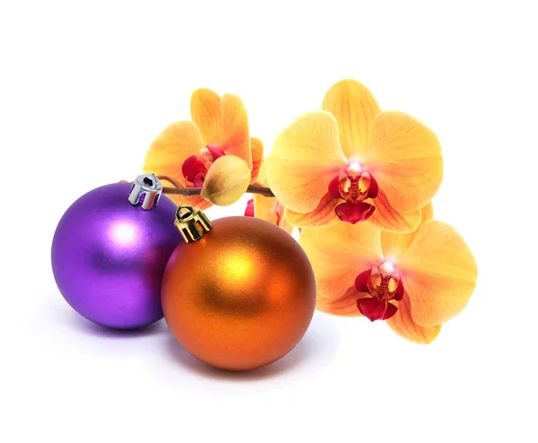 Weihnachtsdekoration mit Orchidee — Stockfoto