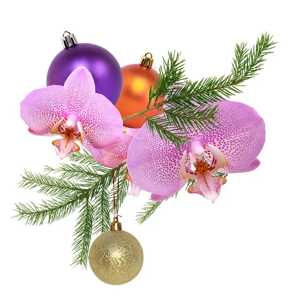 Kerstversiering met orchidee — Stockfoto