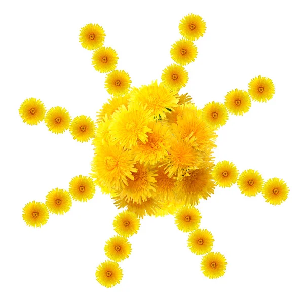 Yellow Dandelion Sun — Stock Photo, Image