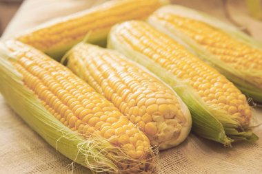 lezzetli mısır koçanı. Gıda arka plan