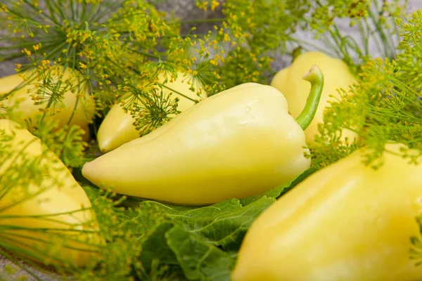 Food  with inflorescence dill. food — Stock Photo, Image