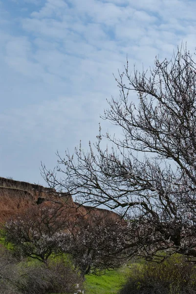 Paisaje con montañas — Foto de Stock