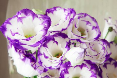 canlı çiçek lisianthus buket