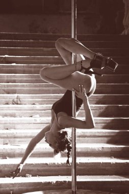 bir kutup dans esmer