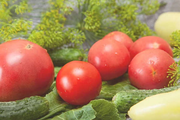 Food with inflorescence dill — Stock Photo, Image